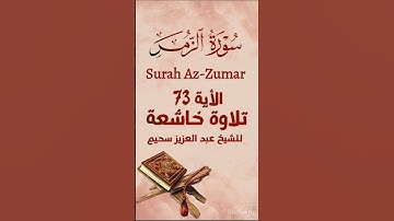 سورة الزمر Surah Az-Zumar #القران #quran #حالات_واتس #اكسبلور  #محبي_القرأن_الكريم #يارب #القاريء