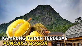 PERJALANAN KE KAMPUNG DUREN TERBESAR SEJAGAD RAYA PUNCAK 2- trip # 5 - puncak 2 trip adventure