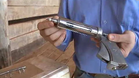 Como lavar pistola de vacinar gado?