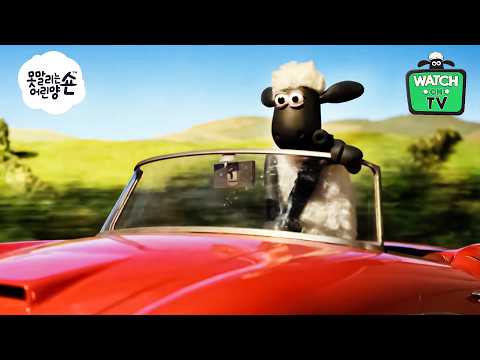 비켜요! 숀이 빨간 자동차를 타고 오고 있어요오! 🐑🚗❤️😎 | 새학기 🚌🔔