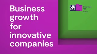 Business growth support for innovative companies
