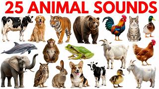 Animal sound for kids |Learn Animal Name with real Sounds for Kids | Educational video #animalsounds