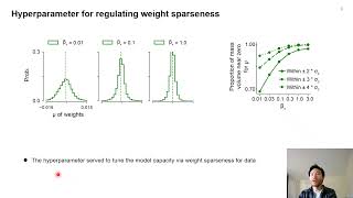 Probabilistic neural transfer function estimation with Bayesian system identification