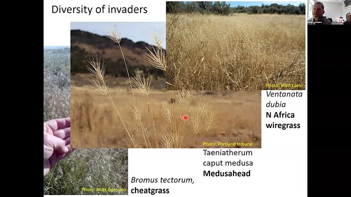 Fire, fuels management, invasive species: USGS Sagebrush and Fire Science Webinar Series 2/27/2025