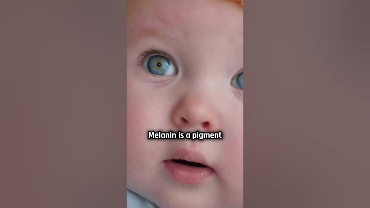 where-did-blue-eyes-come-from-science-biology-research-youtube