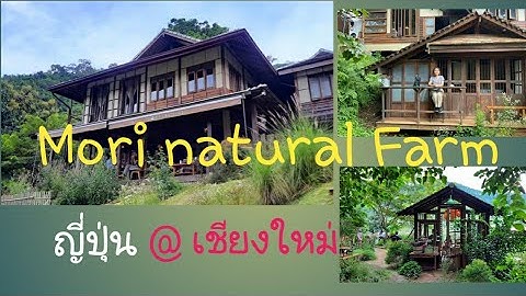 Mori natural Farm @ เชียงใหม่..Cafe และบ้านพักบรรยากาศแบบชนบทญี่ปุ่น