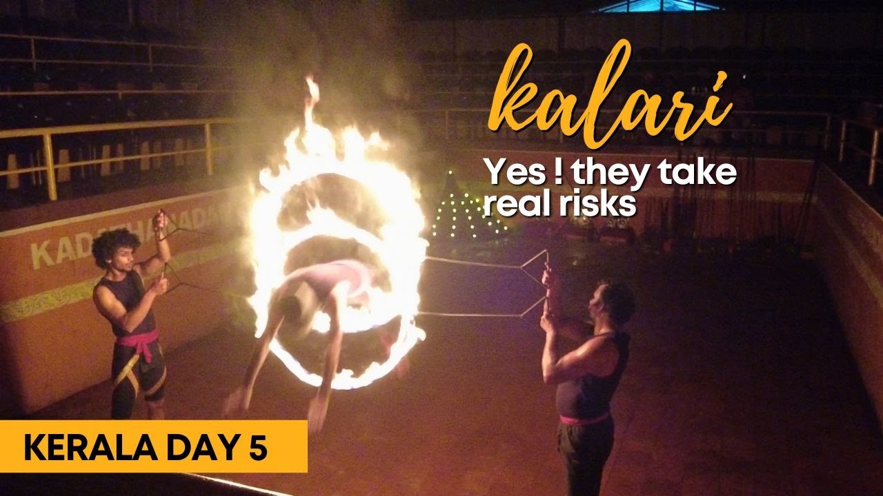 India's Ancient Martial Arts Our Incredible Thekkady Kalari Show Experience! Vlog