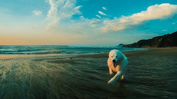 Quick visit to the beach. GitUp Git2