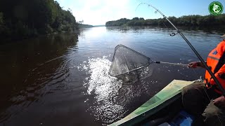 видео: ТАВДА УДИВЛЯЕТ! ВТОРОЙ ДЕНЬ РЫБАЛКИ НА ЖИВОПИСНОЙ РЕКЕ СРЕДНЕГО УРАЛА, ЛОВИМ НА СПИННИНГ ЩУКУ/ОКУНЯ! картинка: ТАВДА УДИВЛЯЕТ! ВТОРОЙ ДЕНЬ РЫБАЛКИ НА ЖИВОПИСНОЙ РЕКЕ СРЕДНЕГО УРАЛА, ЛОВИМ НА СПИННИНГ ЩУКУ/ОКУНЯ!