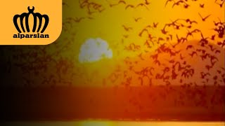 YILDIZ KIZILGÜN -  KARA VİCDANLI
