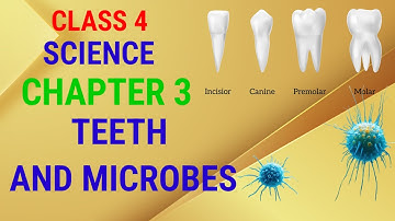 Class 4 Science Chapter 3 - Teeth and Microbes #science #class #revision