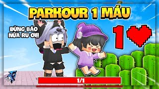 Mini World Nhưng Chỉ Có 1 Máu Parkour !!! Siro Tàng Hình Troll Gà Noob Ruby