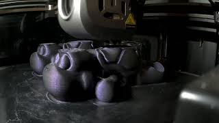 3D Printed Turtles Timelapse