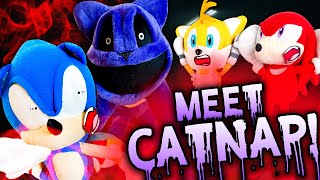 Meet Catnap - Sonic And Friends