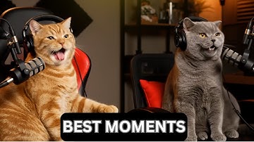 I Asked AI To Make A Cat Podcast And It Was Hilarious 2