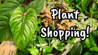PLANT SHOPPING!! 🌿 new plants in stock at Michael's Garden Gate Nursery in Mount Kisco, NY 💕