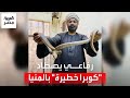 مغامرة تحبس الأنفاس صائد ثعابين يصطاد أفعى كوبرا داخل منزل في المنيا ويكشف أسرار المهنة المخيفة 