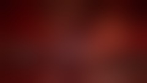 Middle cerebral artery bifurcation and M1 aneurysm clip reconstruction