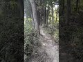 Green village #shorts #shortvideoviral #shortvideo #shortvideoyoutube