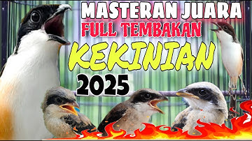MASTERAN CENDET FULL TEMBAKAN PANJANG KEKINIAN MEWAH TERLENGKAP 2025