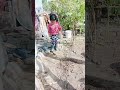 gunnu khet mai kaam krte huye