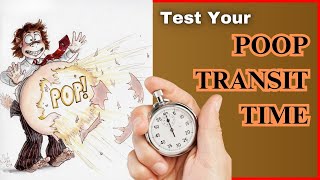 Why is Stool Transit Time Important for Digestive Health