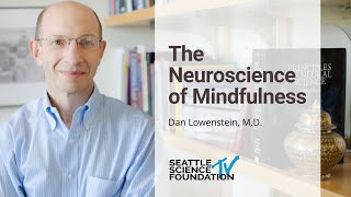 The Neuroscience of Mindfullness - Dan Lowenstein, M.D.