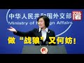 【外交部】德国媒体说中国是“战狼外交”？华春莹超霸气回应：那又何妨！