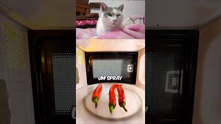 NÃO PODE COLOCAR NO MICROONDAS? 🤨 #curiosidades #gatos #react #shorts