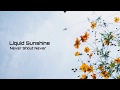 Miniature de la vidéo de la chanson Liquid Sunshine