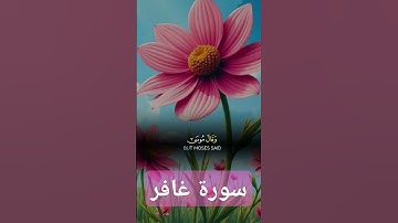 سورة غافر #quran #تيك_توك #دويتو #دعاء #صباحالخير #لايك #دعاءمستجاب #حالاتواتس #duet