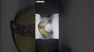 Alphabet Lore C Deepfakes