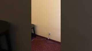 Best Western Hotel in Texas City Review