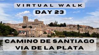 Day 23: Camino de Santiago - Via de la Plata: Villanueva de Campeán to Zamora (Virtual hike; 4k)