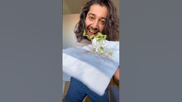 DIY Cucumbers at Home | creative explained