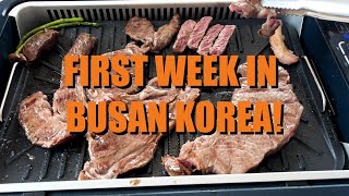 My First Week in Busan Korea (Vlog)