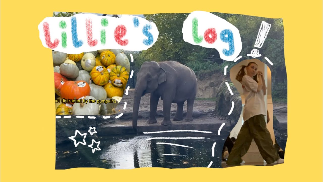 Lillie’s log. Ep 4 YouTube