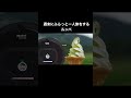 週末にふらっと一人旅をするルンバ　#shorts