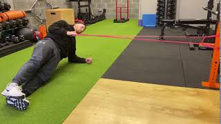 Side Plank Band Pull