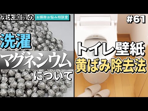 第61回 洗濯マグネシウムについて トイレの壁紙の黄ばみ除去法 茂木和哉のお掃除お悩み相談室 Youtube