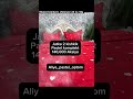 Aliya_pastel_optom , Toshkent, chilonzor 24 kv, 52a