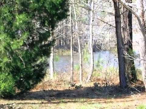 8566 Galloway National Dr, Wilmington, NC home video tour