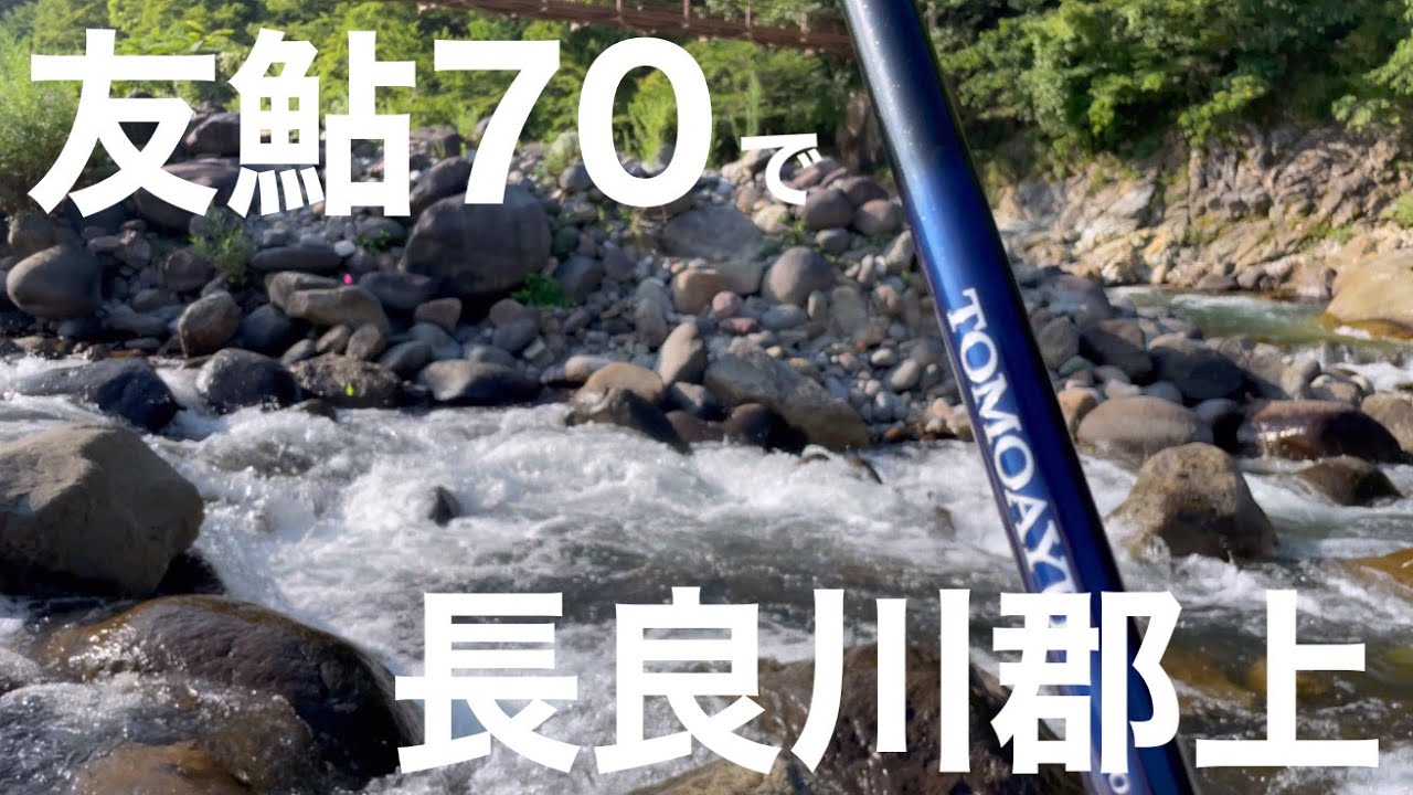 友鮎70で長良川郡上で鮎釣り