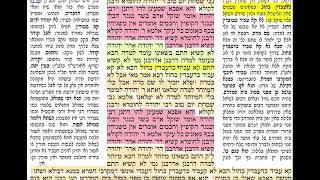 דף יומי מסכת ביצה דף כט Daf yomi Beitzah daf 29