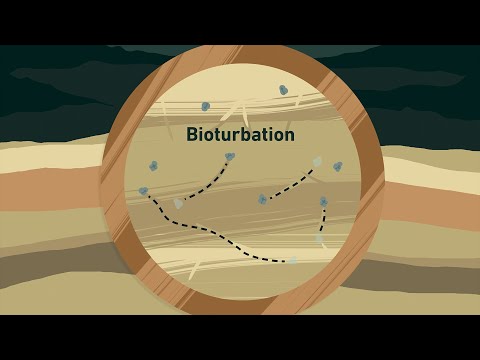 Marine sediments as climate archives