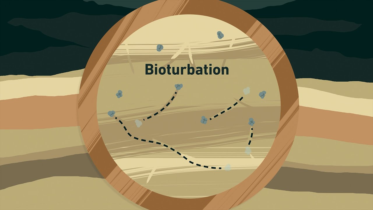 Marine sediments as climate archives
