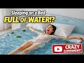 Can You Sleep on a Fruit Bed? 🍍🛏️ | Fun Experiment Video