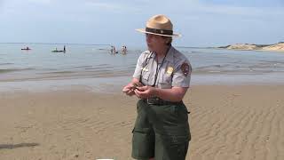 Intertidal Zone Instructional Video- CAPE COD NATIONAL PARK SEASHORE