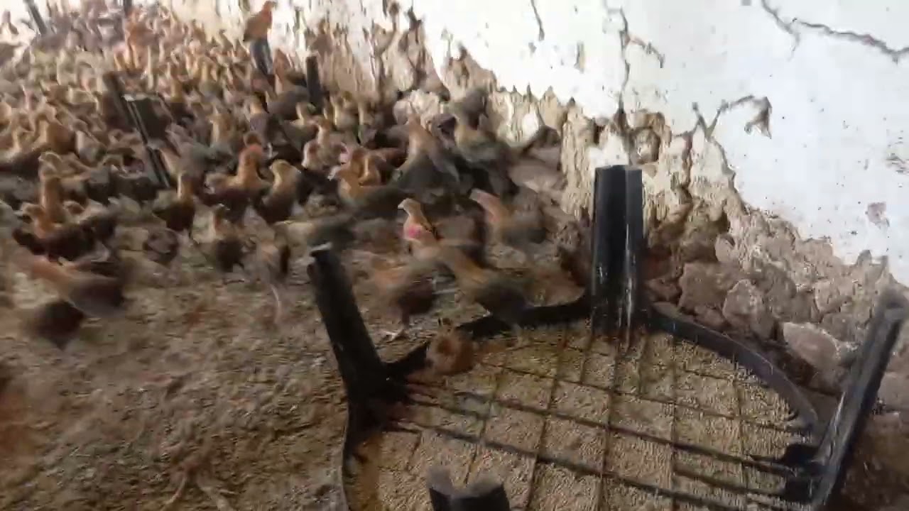 سلام عليكم الاخوان رقم الهاتف ولوتساب 0622234716