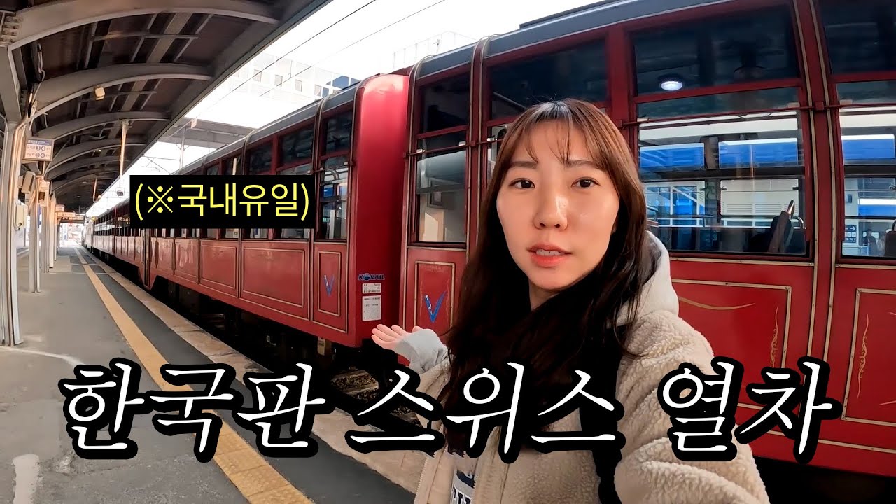 단돈 7,300원으로 즐기는 스위스 뺨치는 한국의 협곡열차🚂 with 진짜하늬 Real Hanie